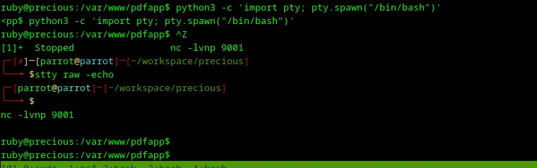 htb-precious-image-27.png