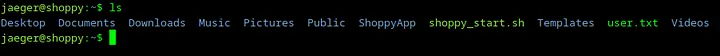 htb-shoppy-machine-43.png