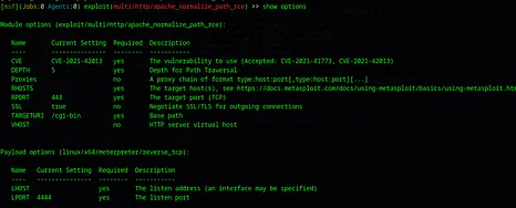 metasploit-view.png